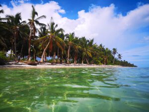 Playa Cabeza de Toro Punta Cana