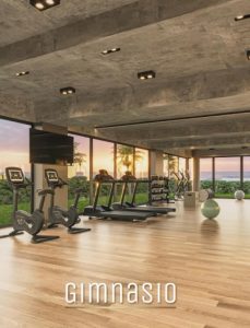 Proyecto Ika - Gimnasio